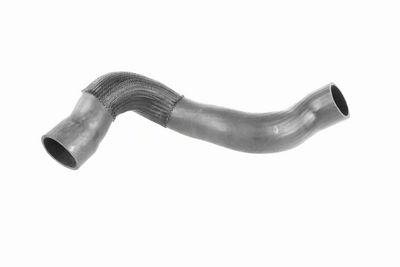 FURTUN EAR SUPRAALIMENTARE VAICO V950370 1