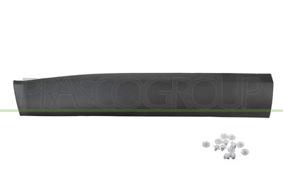 ZIER-/SCHUTZLEISTE TüR