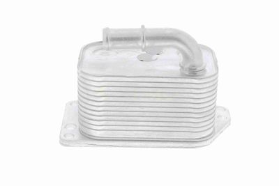 ÖLKüHLER MOTORöL VEMO V42600005 2