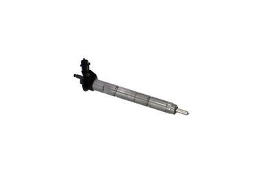 INJECTOR REMANTE 002003001368R 48