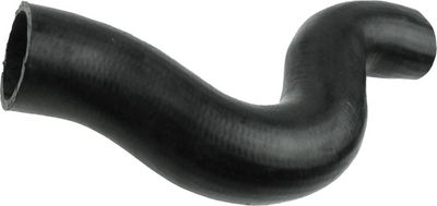 FURTUN EAR SUPRAALIMENTARE