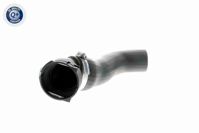 FURTUN EAR SUPRAALIMENTARE VAICO V201620 8