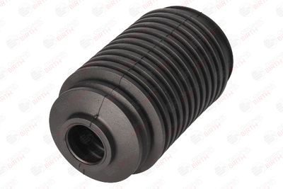 BURDUF CAUCIUC DIRECTIE BIRTH 7691 5