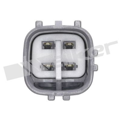 LAMBDASONDE WALKER PRODUCTS 25024901 2