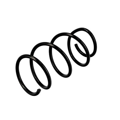 ARC SPIRAL EIBACH R10129 16