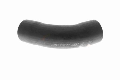 FURTUN EAR SUPRAALIMENTARE VAICO V201622 5