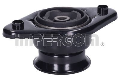 FEDERBEINSTüTZLAGER