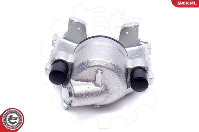 Brake Caliper 56SKV262