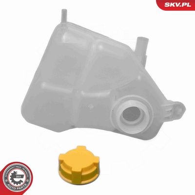 VAS DE EXPANSIUNE RACIRE ESEN SKV 61SKV406 2