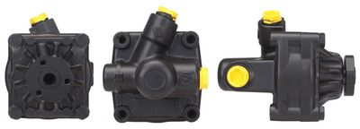 HYDRAULIKPUMPE LENKUNG DRI 715521049