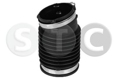 FURTUN EAR SUPRAALIMENTARE