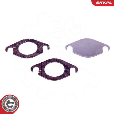 Remonto komplektas, AGR vožtuvas