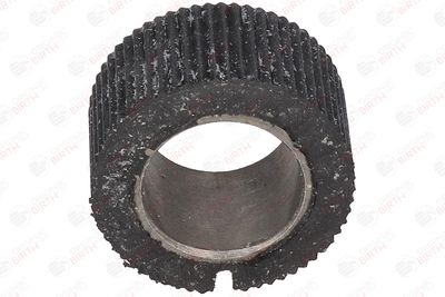 BUCSA ARBORE DE DIRECTIE BIRTH 4848 7