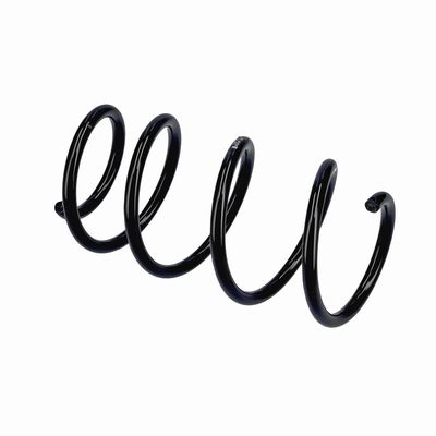 ARC SPIRAL EIBACH R20284 21