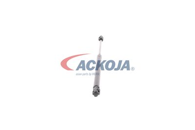 AMORTIZOR PORTBAGAJ ACKOJA A520112 49