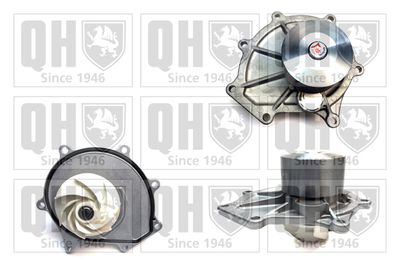 Водяной насос, охлаждение двигателя QUINTON HAZELL QCP3573 для ROVER 45