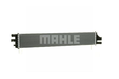 RADIATOR RACIRE MOTOR MAHLE CR2163000P 44