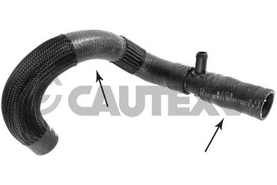 Шланг радиатора CAUTEX 765338 для FIAT FREEMONT