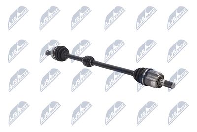 PLANETARA NTY NPWHY620 29