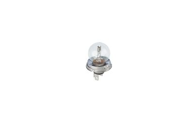 GLüHLAMPE BOSCH 1987302023 16