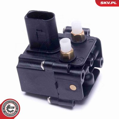 SUPAPA SISTEM SUPRAALIMENTARE ESEN SKV 93SKV813 1