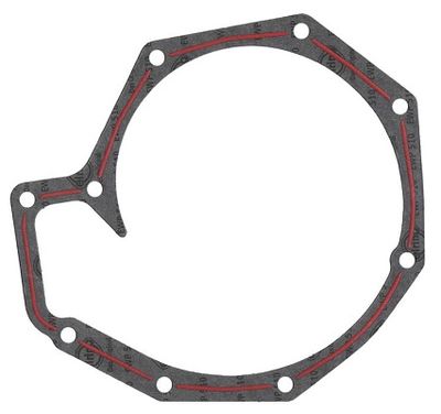 Gasket, water pump 493.380