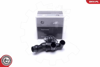 TERMOSTAT LICHID RACIRE