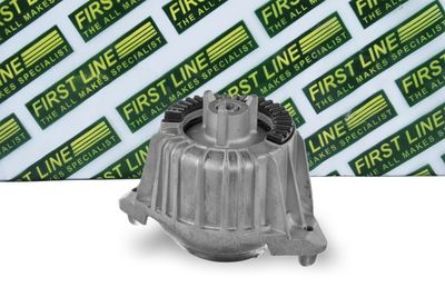 окачване, двигател FIRST LINE FEM4365