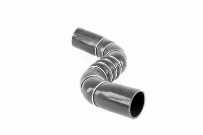 FURTUN EAR SUPRAALIMENTARE ACKOJA A389602 3