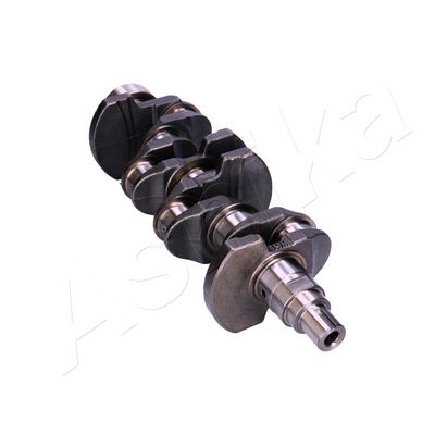 ARBORE COTIT ASHIKA 18HY000 2