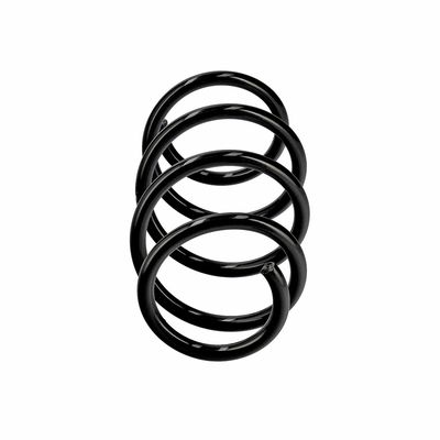 ARC SPIRAL EIBACH R19597 13