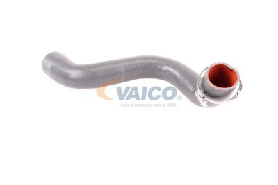 FURTUN EAR SUPRAALIMENTARE VAICO V460823 15