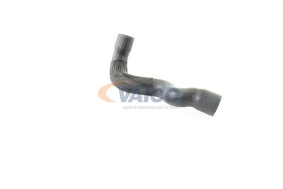 FURTUN EAR SUPRAALIMENTARE VAICO V302249 40