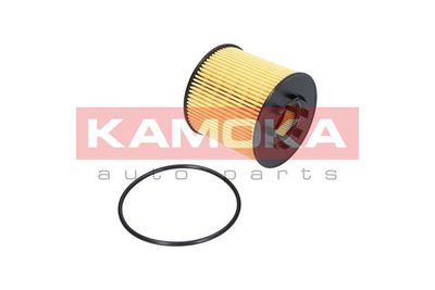 Oil Filter F105701