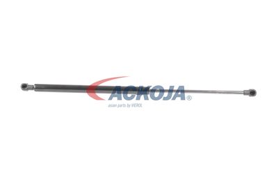 AMORTIZOR PORTBAGAJ ACKOJA A520098 13