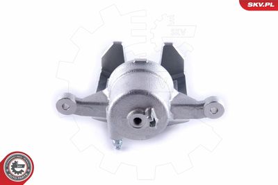 Brake Caliper 55SKV272