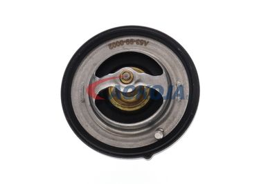TERMOSTAT LICHID RACIRE ACKOJA A53990002 25
