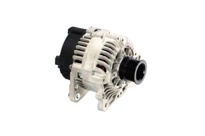 GENERATOR / ALTERNATOR REMANTE 011003000339R 49