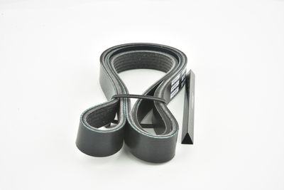 CUREA TRANSMISIE CU CANELURI FEBEST 881286L1555 40