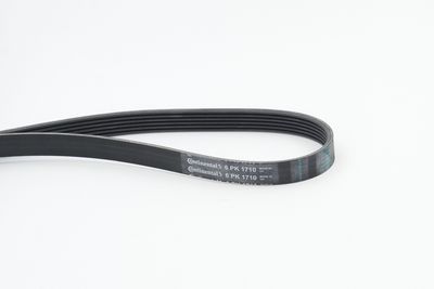 CONTINENTAL CTAM Keilrippenriemen