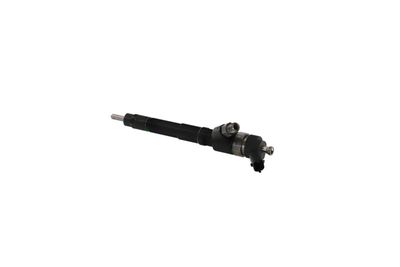 INJECTOR REMANTE 002003000037R 19