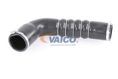 FURTUN EAR SUPRAALIMENTARE VAICO V103794 13