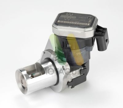 SUPAPA EGR MOTAQUIP LVER262