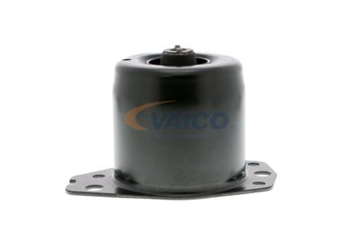 SUPORT MOTOR VAICO V240368 22