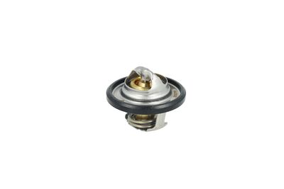 TERMOSTAT LICHID RACIRE NRF 725544 7