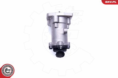 EGR Valve 14SKV160