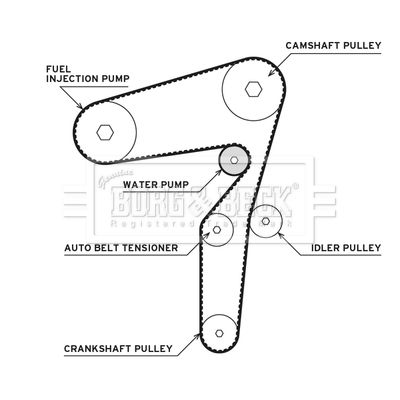 Water Pump & Timing Belt Kit Borg & Beck BTW1081