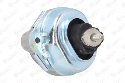 SUPORT MOTOR BIRTH 53412 12