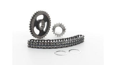STEUERKETTENSATZ SKF VKML81008 6