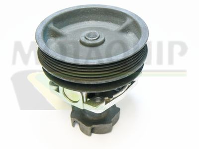 MOTAQUIP VWP702 Помпа (водяной насос)  для FIAT TIPO (Фиат Типо)